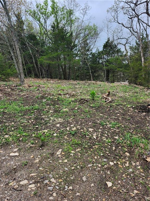 41 E Ridgewood Circle Property Photo 5