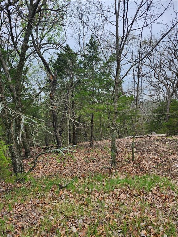 41 E Ridgewood Circle Property Photo 6