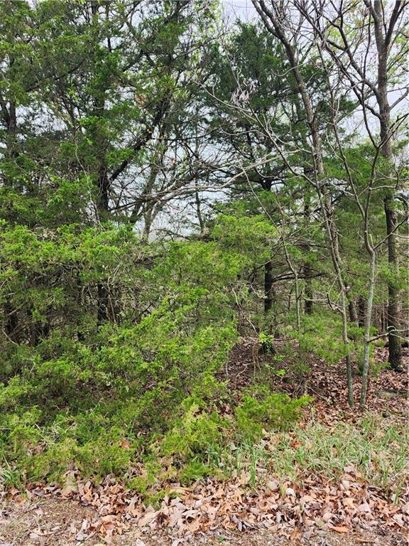 41 E Ridgewood Circle Property Photo 7