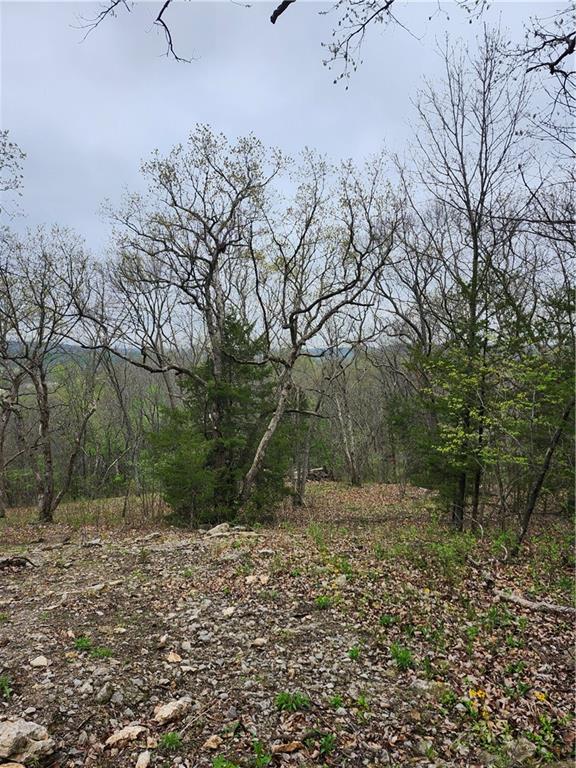 41 E Ridgewood Circle Property Photo 8