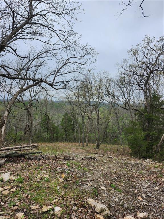 41 E Ridgewood Circle Property Photo 9