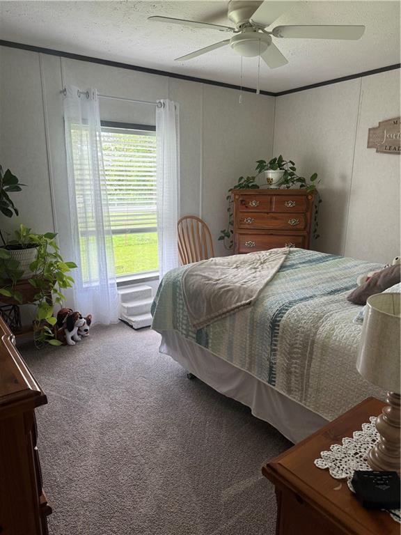 26493 County Rd 225 Road Property Photo 30