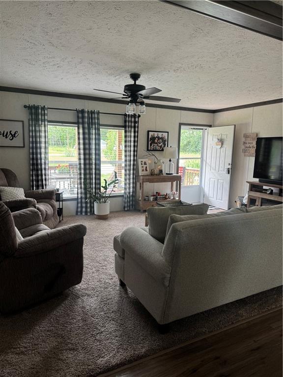 26493 County Rd 225 Road Property Photo 32