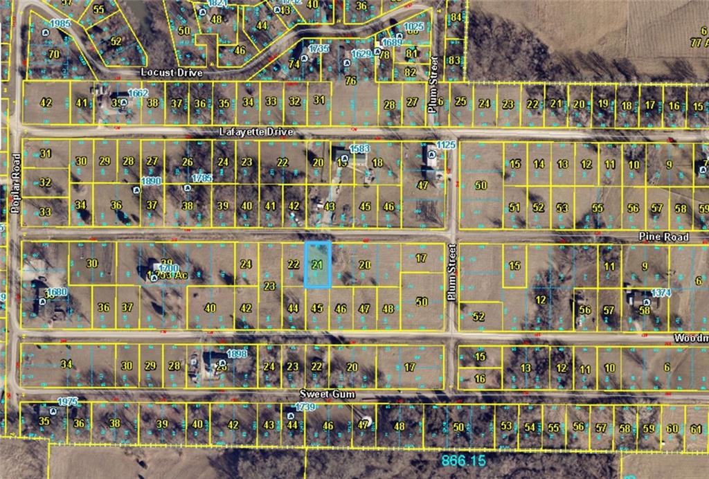 Plat E Lot 181 Pine Road Property Photo 4