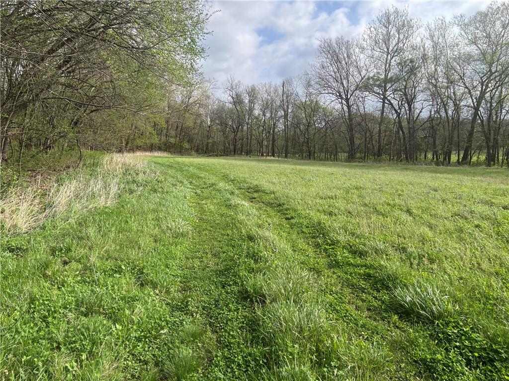493 Sw 1000 Road Property Photo 6