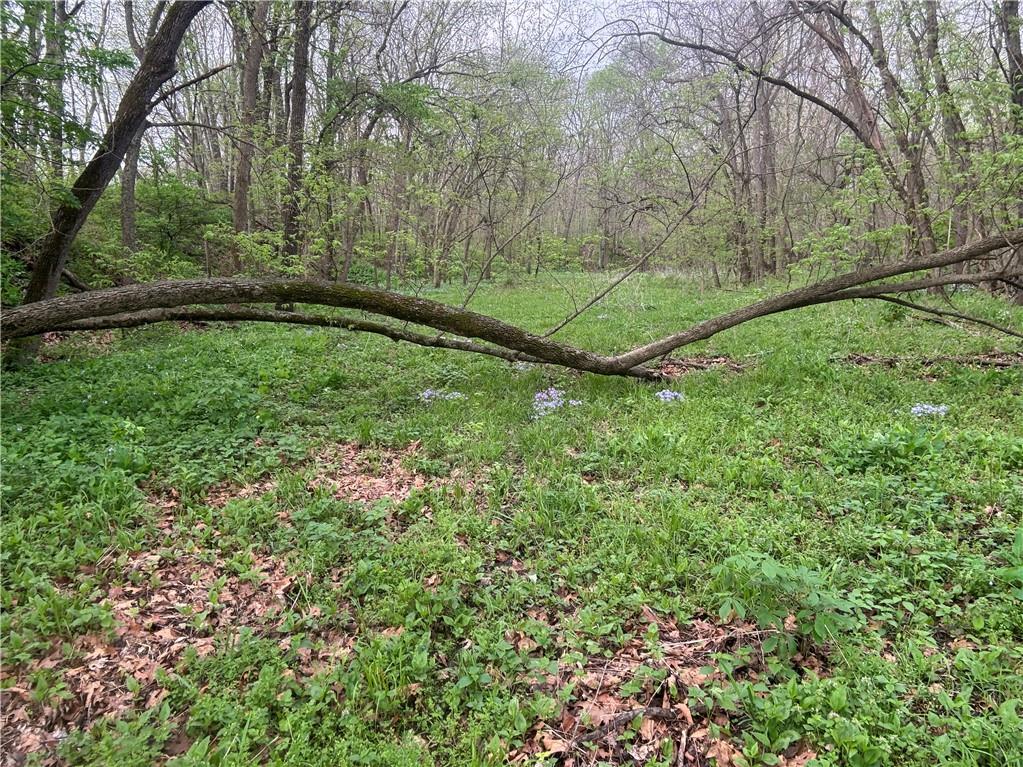 493 Sw 1000 Road Property Photo 13