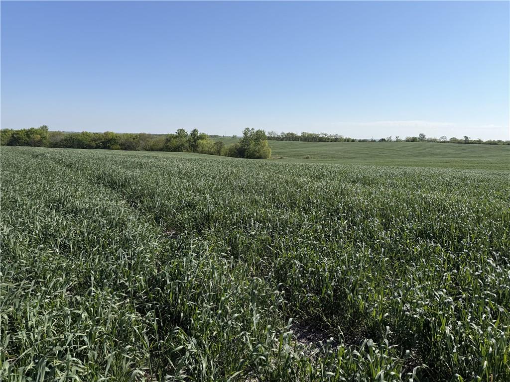 Tbd H Highway Property Photo 2