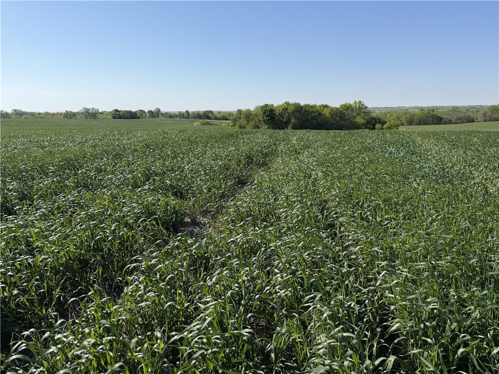 Tbd H Highway Property Photo 3