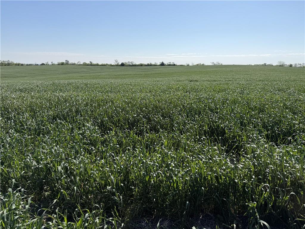 Tbd H Highway Property Photo 4