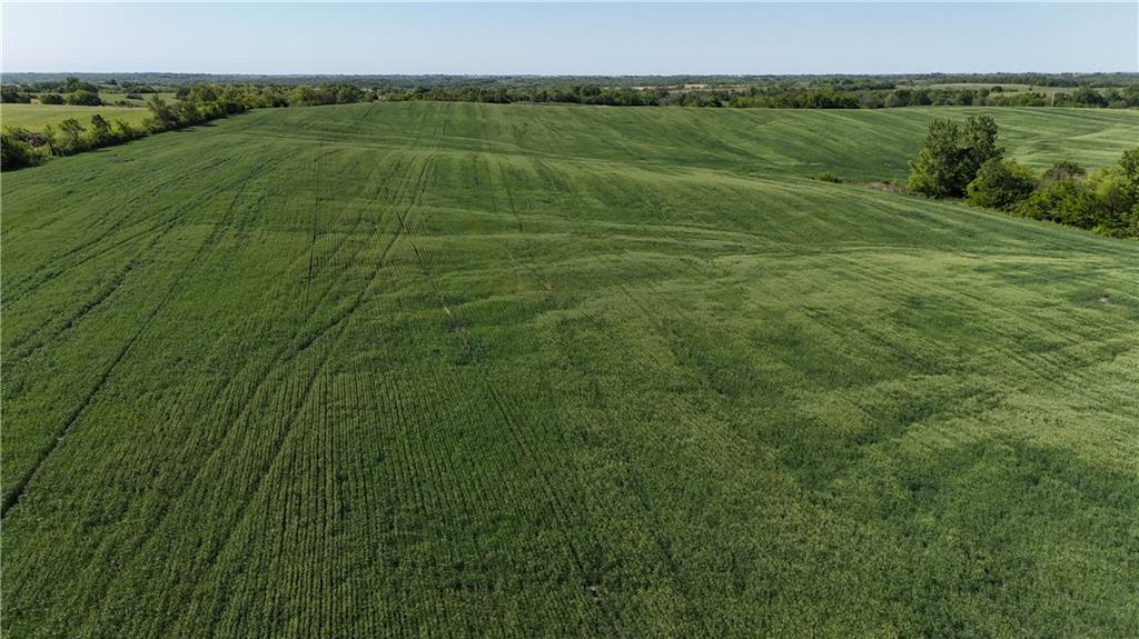 Tbd H Highway Property Photo 5