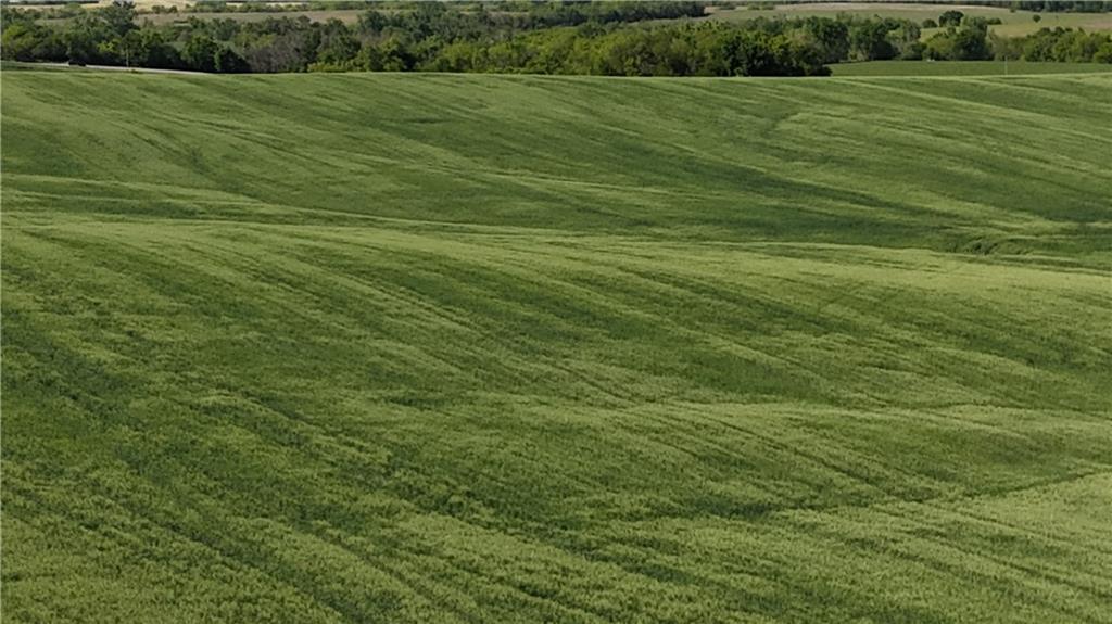 Tbd H Highway Property Photo 18