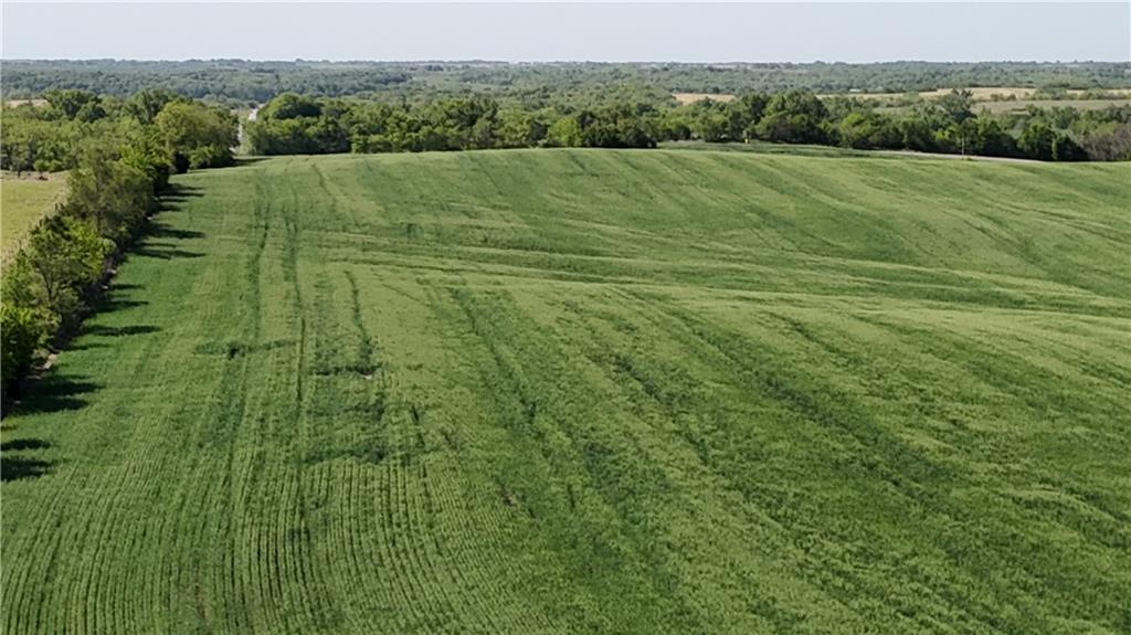 Tbd H Highway Property Photo 20