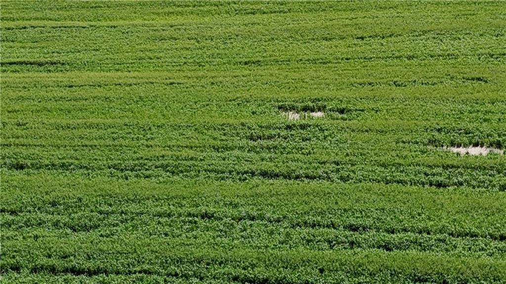 Tbd H Highway Property Photo 57