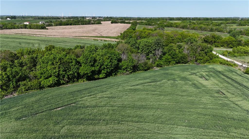 Tbd #3 H Highway Property Photo 8