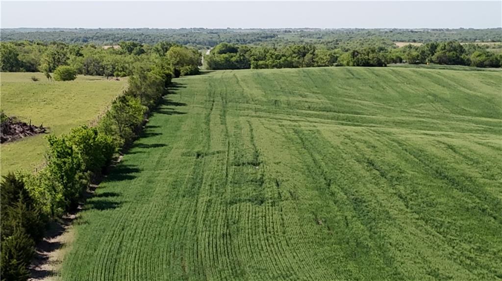Tbd #3 H Highway Property Photo 19