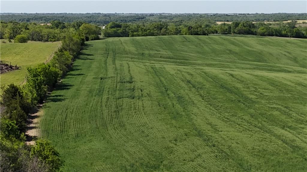 Tbd #3 H Highway Property Photo 20