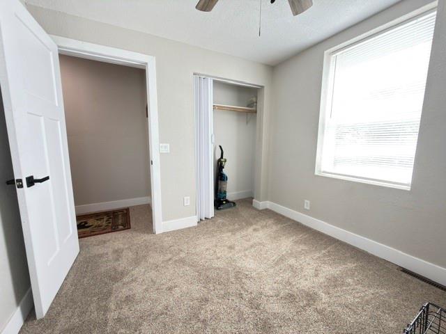 1005 Walnut Street Property Photo 19