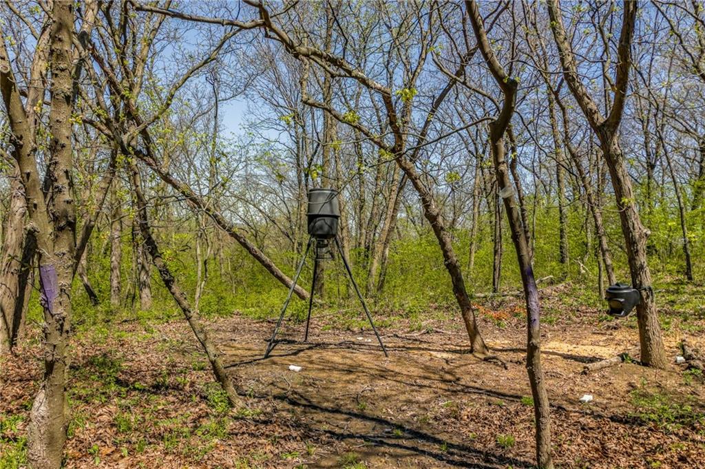 13921 Nation Road Property Photo 18