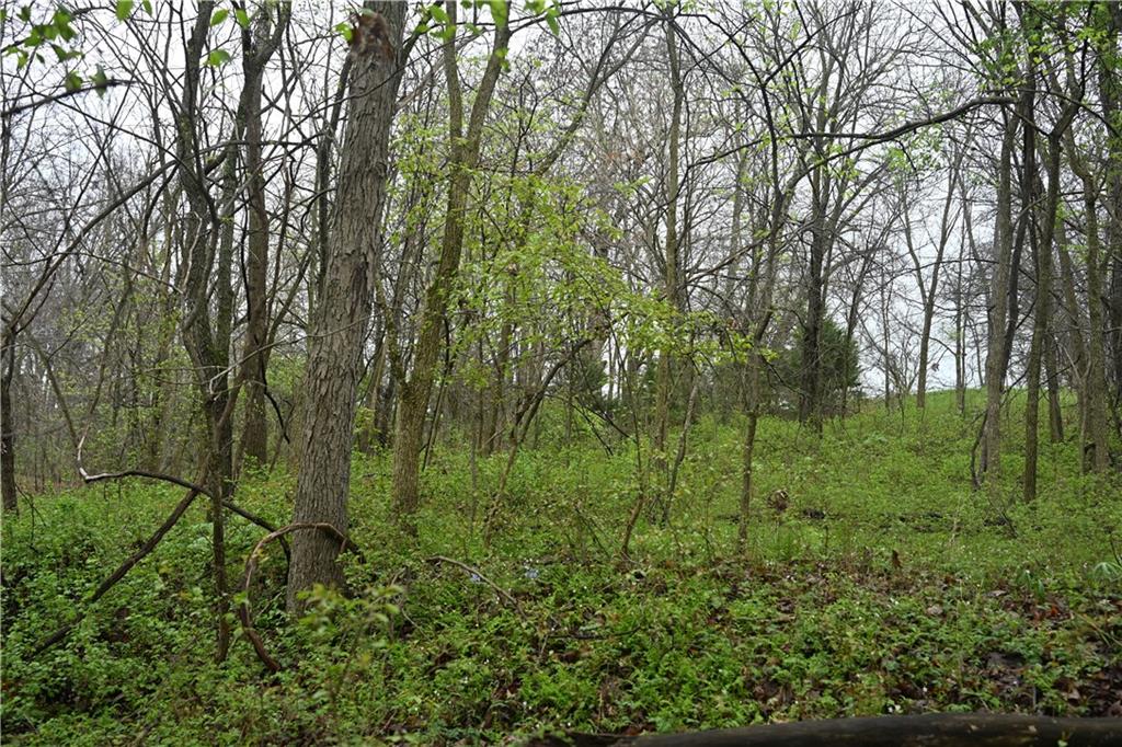 Hwy C Highway Property Photo 22