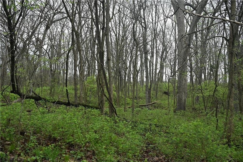 State Highway C Highway Property Photo 8