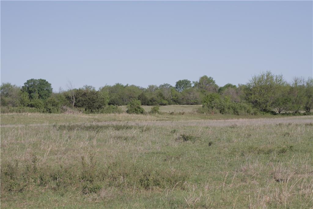 000 Delaware Road Property Photo 33