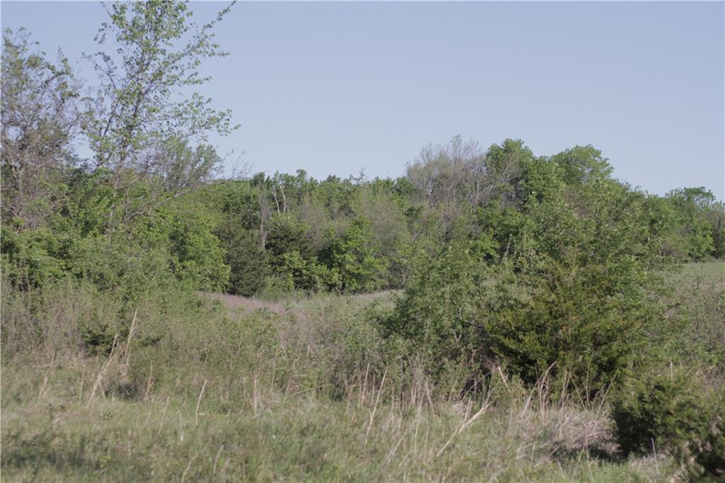 000 Delaware Road Property Photo 45