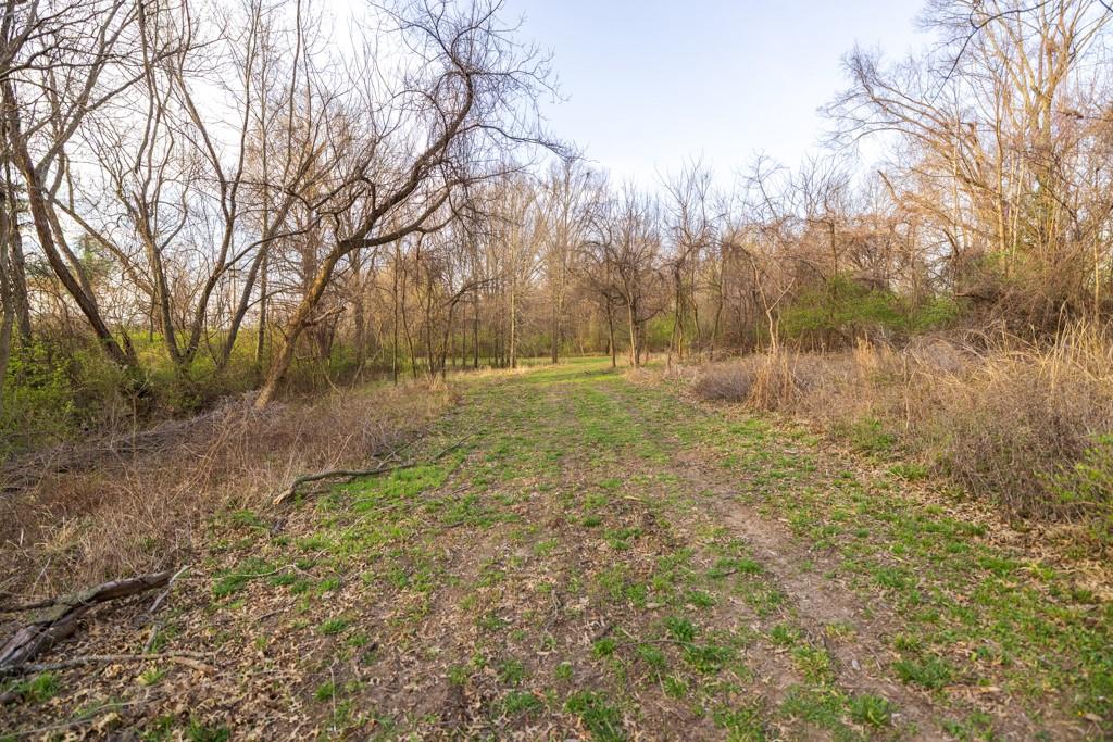 Ruth Ewing Road Property Photo 29