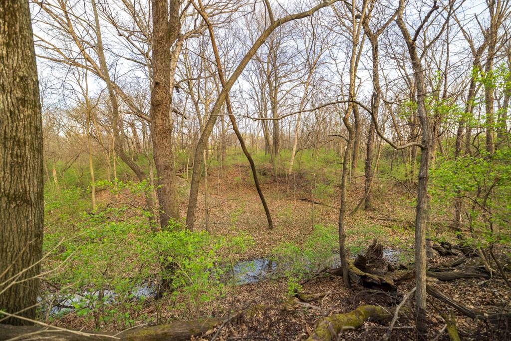 Ruth Ewing Road Property Photo 37