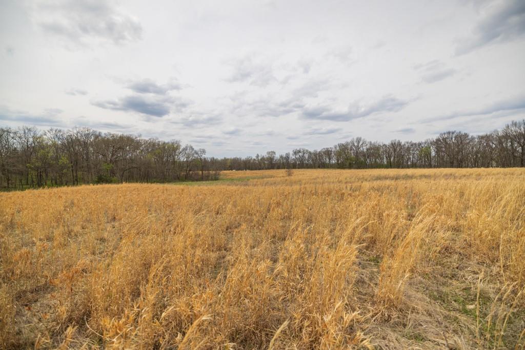 0000 County Road 1123 Road Property Photo 60