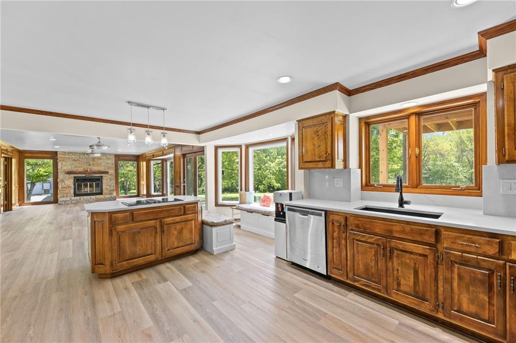 25103 Haines Road Property Photo 14