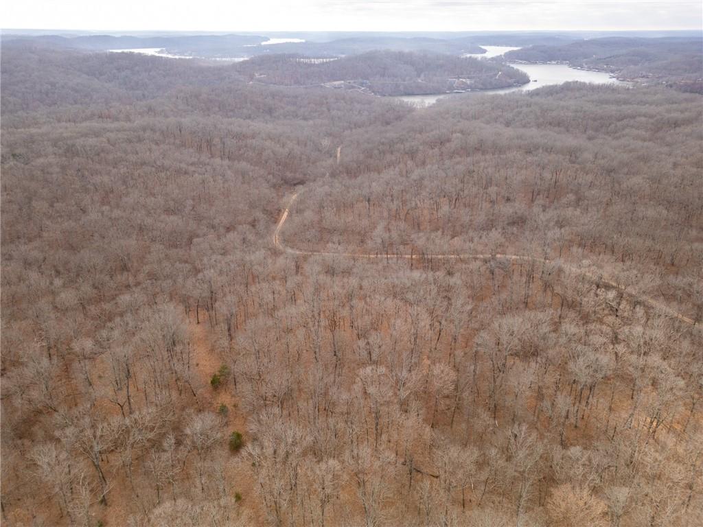 80 +/- Acres Proctor Lane Property Photo 45