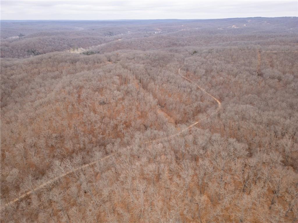 80 +/- Acres Proctor Lane Property Photo 60