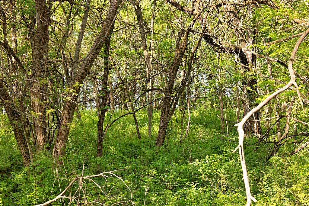 000 State Highway Dd Highway Property Photo 14