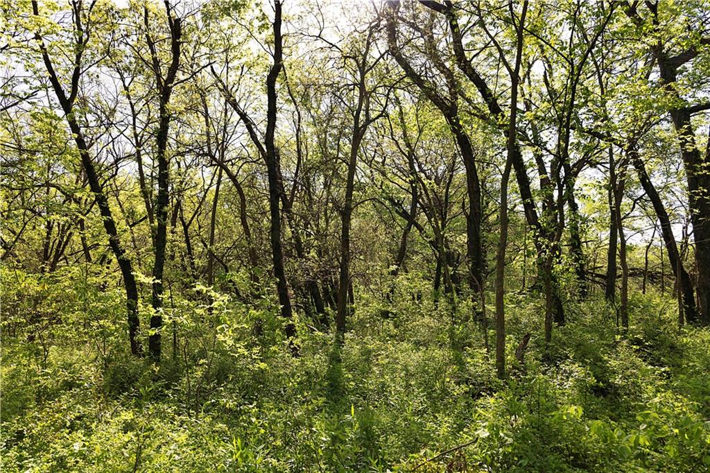 000 State Highway Dd Highway Property Photo 28