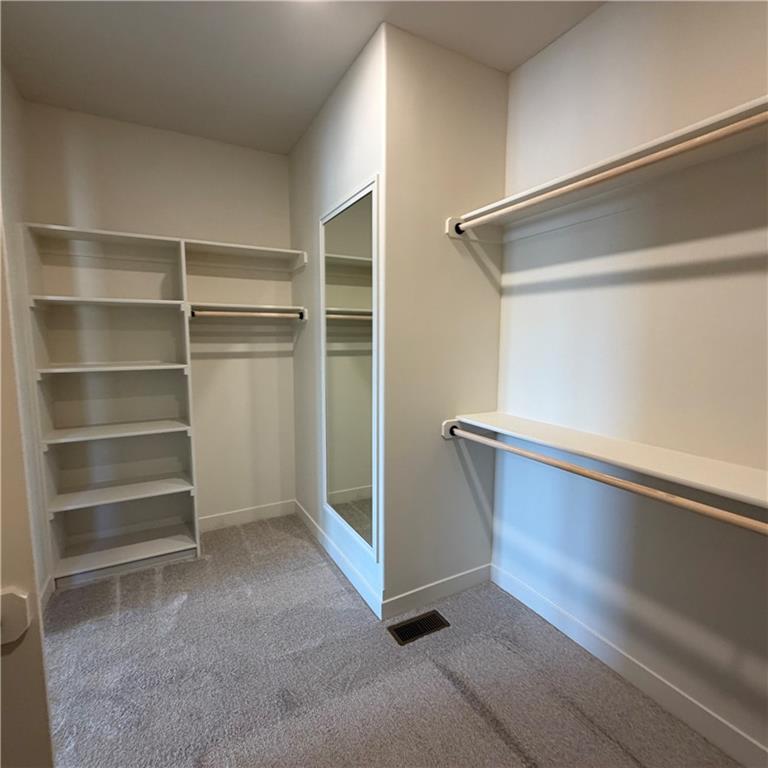 2343 Foxtail Drive Property Photo 26