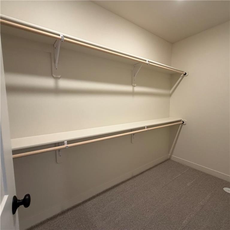2343 Foxtail Drive Property Photo 39