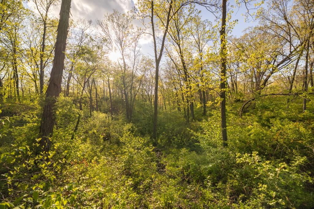 65200 Sultan Road Property Photo 59