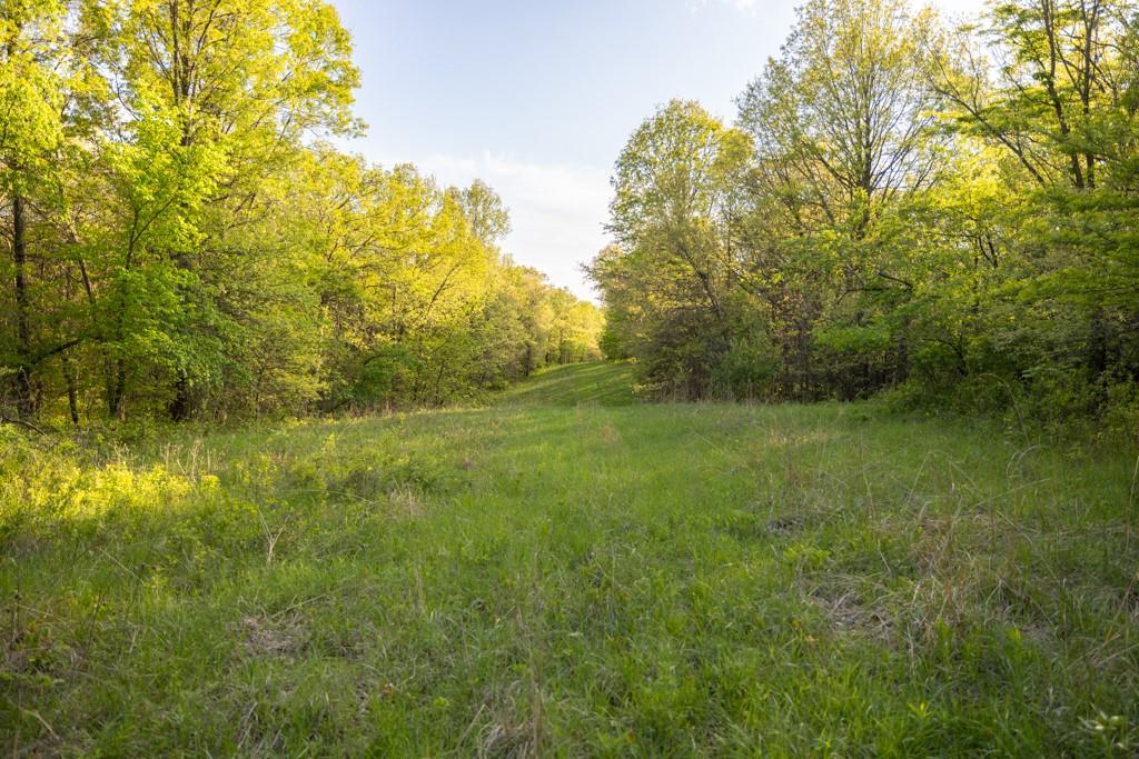 65200 Sultan Road Property Photo 62
