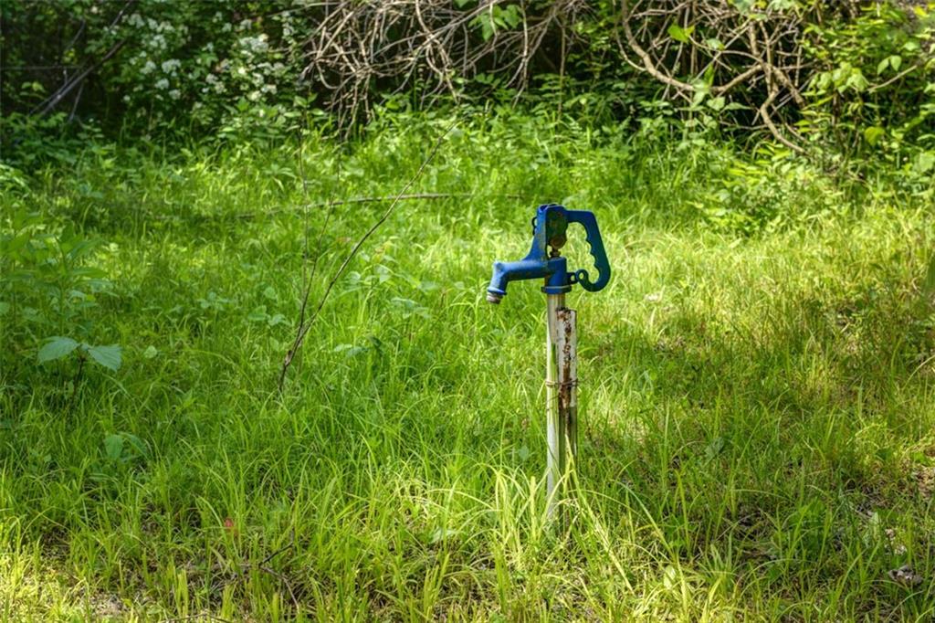 8667 Markham Road Property Photo 14