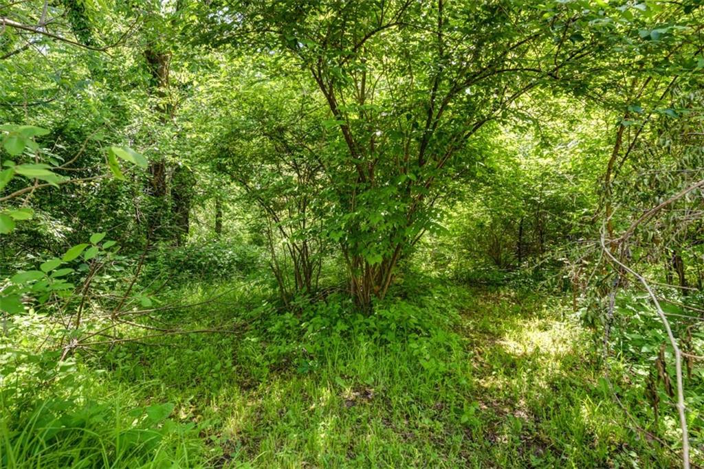 8667 Markham Road Property Photo 25
