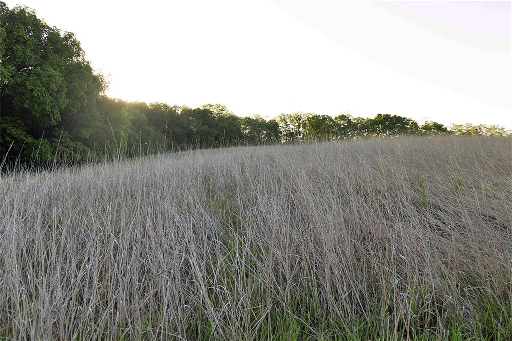Offutt Road Property Photo 59