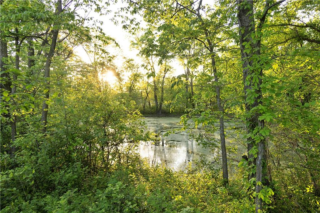 Offutt Road Property Photo 63