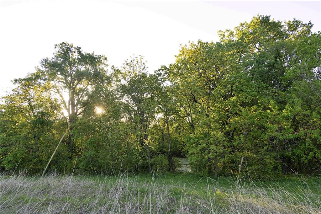 Offutt Road Property Photo 65