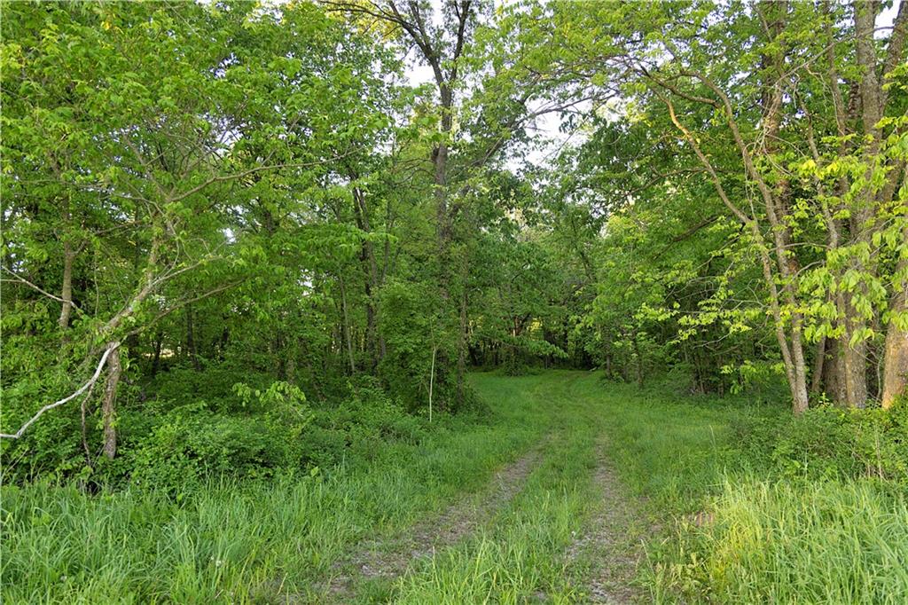 Offutt Road Property Photo 67