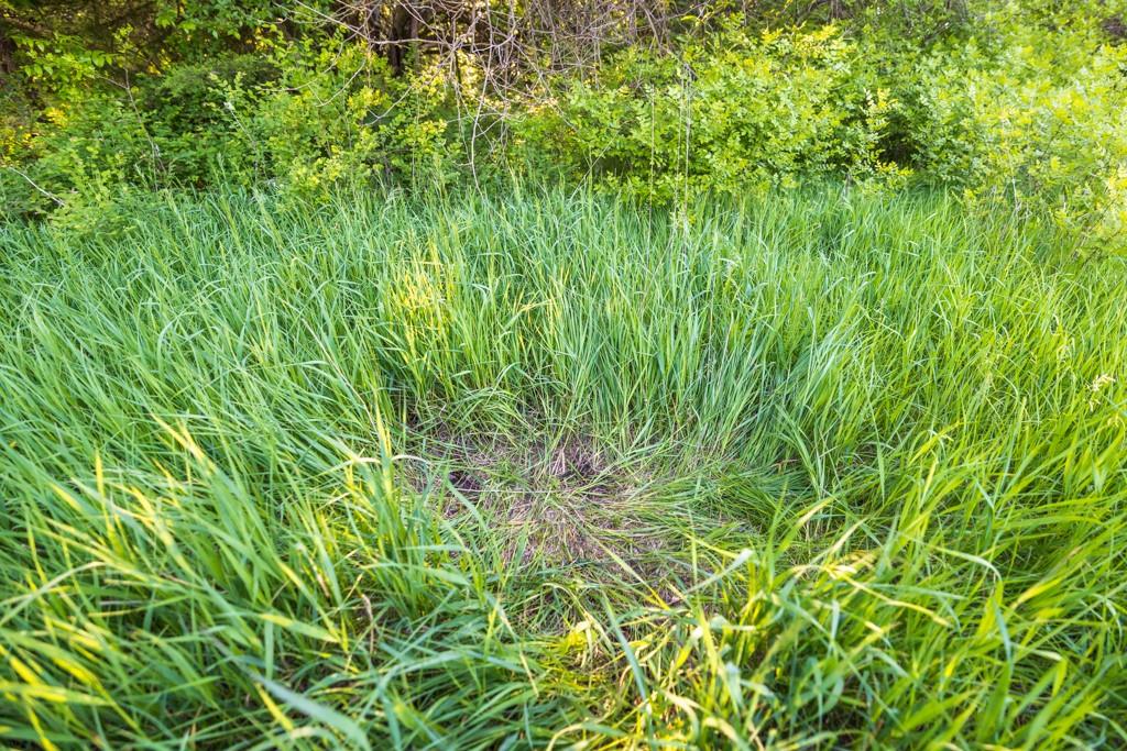 N 775 Road Property Photo 45