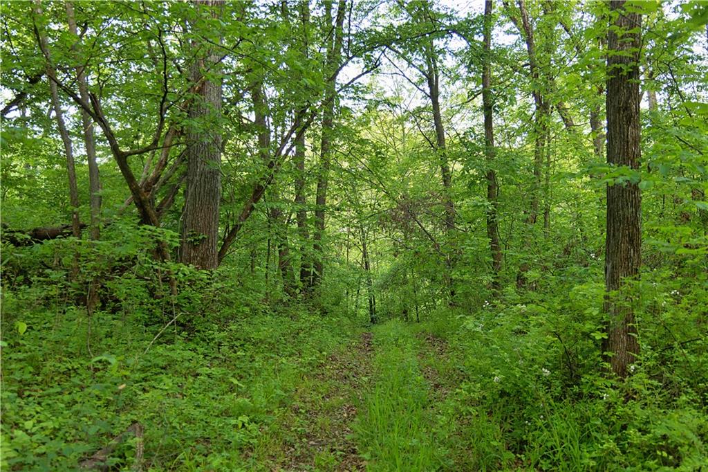 8005 Se State 116 Highway Property Photo 43