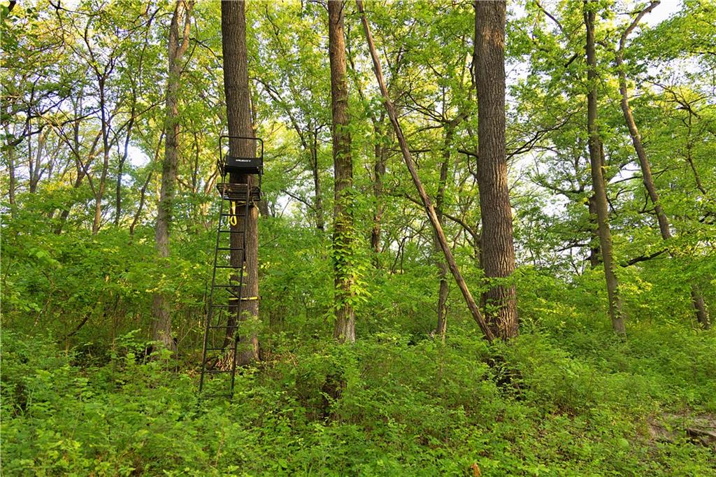 8005 Se State 116 Highway Property Photo 46