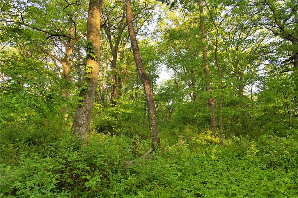 8005 Se State 116 Highway Property Photo 58