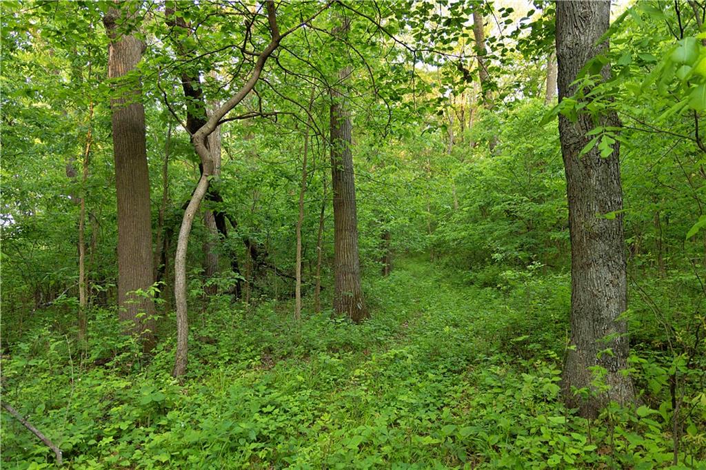 8005 Se State 116 Highway Property Photo 59