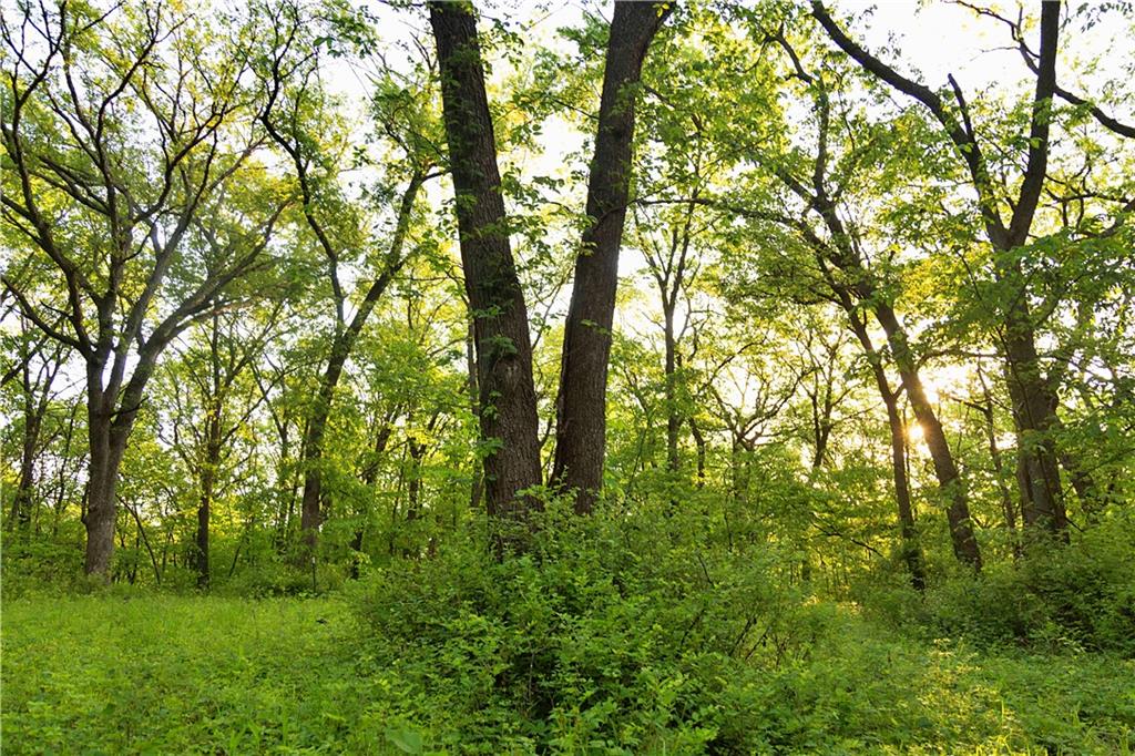 8005 Se State 116 Highway Property Photo 68